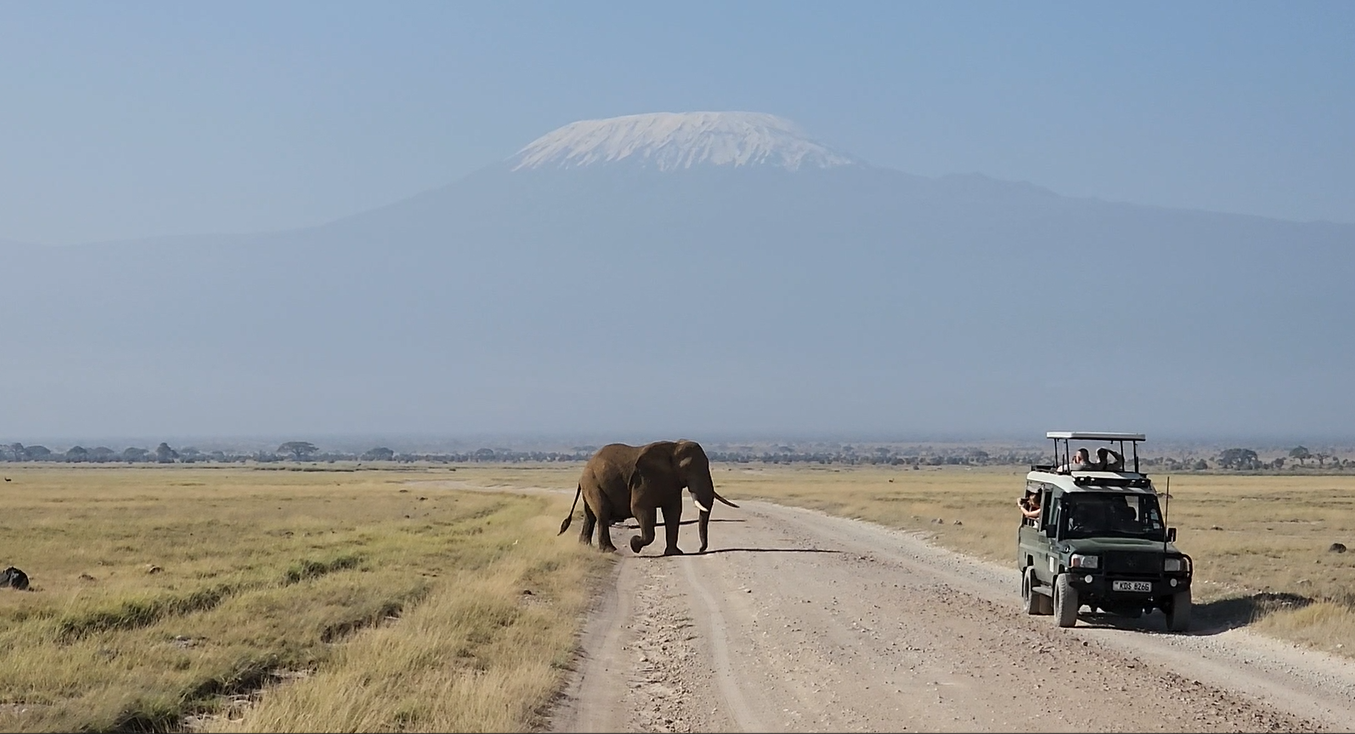 Kenya Safari & Nairobi Itinerary